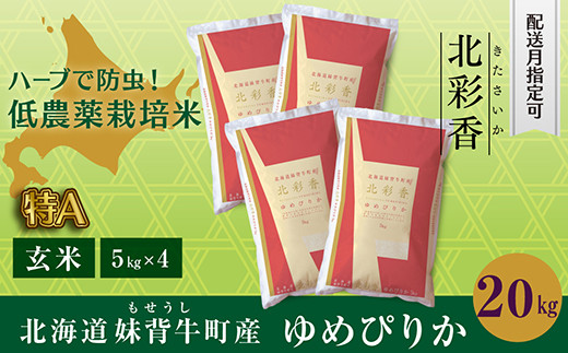 B020 令和５年産 妹背牛産新米【北彩香（ゆめぴりか）】玄米20kg〈一括