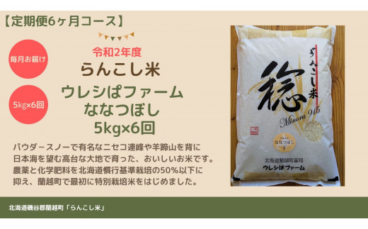 定期便 らんこし米 ななつぼし ５ｋｇ ウレシぱファーム 6か月 北海道蘭越町 ふるさと納税 ふるさとチョイス