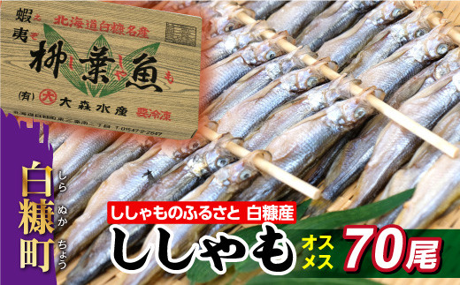 ししゃものふるさと しらぬか産ししゃも【オスメス70尾】 - 北海道白糠