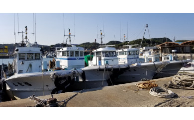 片名漁協 中物乗合1人利用券 釣り船 愛知県南知多町 ふるさと納税 ふるさとチョイス