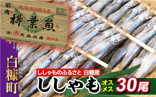 ししゃものふるさと しらぬか産ししゃも【オスメス30尾】 - 北海道白糠