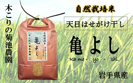 木こりの菊池農園 自然栽培米【亀の尾】(白米・玄米)5kg