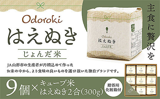 令和5年産] 「おどろきはえぬき」２合キューブ米９個セット FZ20-583