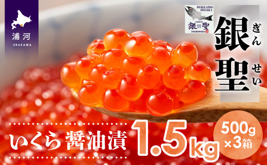 前浜産 ブランド銀毛鮭(天然)「銀聖」いくら醤油漬(500g×3箱)[02-562] - 北海道浦河町｜ふるさとチョイス - ふるさと納税サイト