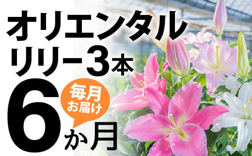 Sosy 01 6か月間 毎月届くオリエンタルリリー3本の定期便 高知県四万十町 ふるさと納税 ふるさとチョイス