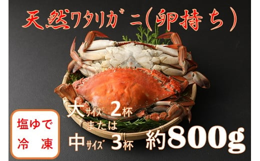 期間 数量限定 小祝漁港特産 天然ワタリガニ 雌 卵あり 塩ゆで 冷凍 大分県中津市 ふるさと納税 ふるさとチョイス