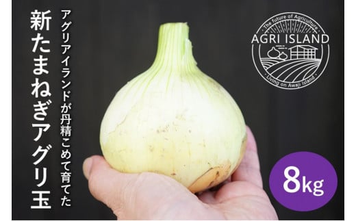 yɌ삠킶szyVʗ\zWHV܂˂AO8kg@zR{`