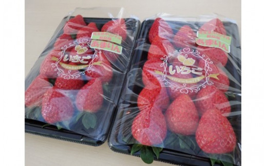 埼玉県オリジナル品種 あまりん、かおりん、べにたま おまかせ2パック