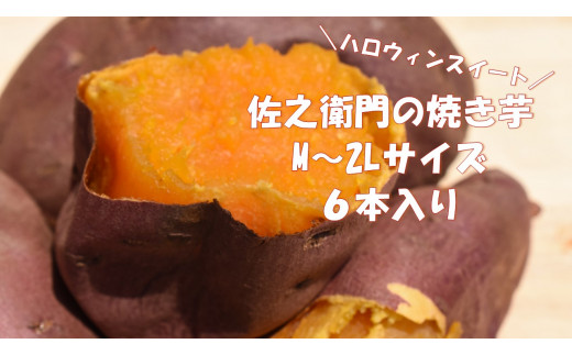 By 9 佐之衛門の焼き芋 5種食べ比べセット Lサイズ各種1本 計5本入り 茨城県鉾田市 ふるさと納税 ふるさとチョイス