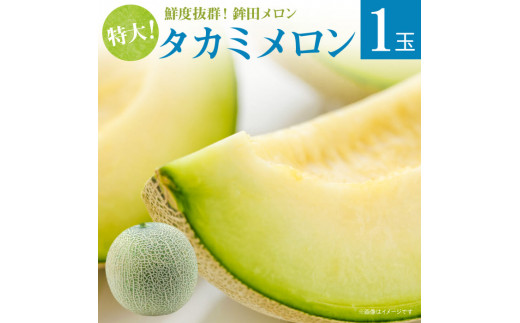 y錧gcsz ߂ y^J~zΓ@1ʓi3kgȏj Mtg gc ʕ lC    Ԃ s\ XC[c   錧 Ҍ  t[