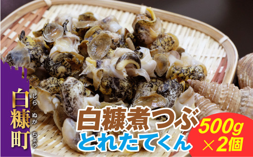 サンプル写真