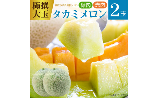 y錧gcsz ߂ ɑIʁy^J~zΓEԓ@e1ʌv2ʁi5kgȏj Mtg gc ʕ lC    Ԃ s\ XC[c   錧 Ҍ