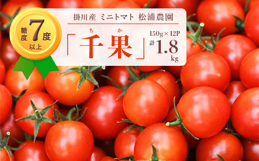 １７９ 美味しんぼに登場したトマト 桃太郎 １６ 25玉 ランク 特選 糖度９度以上 石山農園 ギフト箱入 完熟フルーツトマト 静岡県掛川市 ふるさと納税 ふるさとチョイス