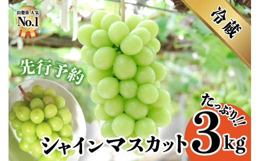 2023年発送分・先行予約】山梨県産シャインマスカット3kg - 山梨県富士