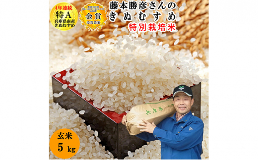 米 【令和5年産 特別栽培米 ひょうご安心ブランド 】藤本勝彦さんの