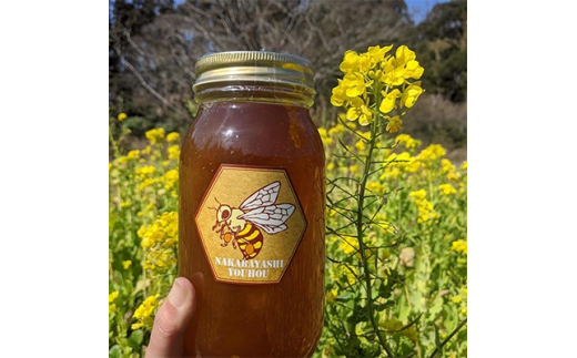 勝浦産　非加熱の生ハチミツ 1kg＜夏の百花蜜＞【1135470】