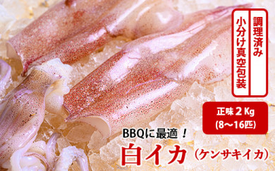 5月 発送 qに最適 白イカ ケンサキイカ 調理済み 正味1k入り 4 8匹 小分け真空包装 京都府京丹後市 ふるさと納税 ふるさとチョイス