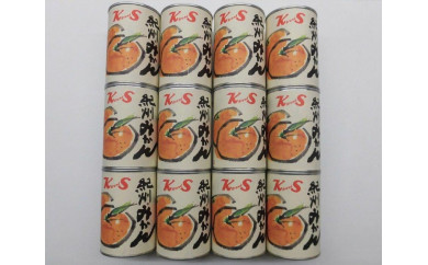 【和歌山県かつらぎ町】紀州のみかん缶詰（みかん果汁入りシロップ）　12缶セット