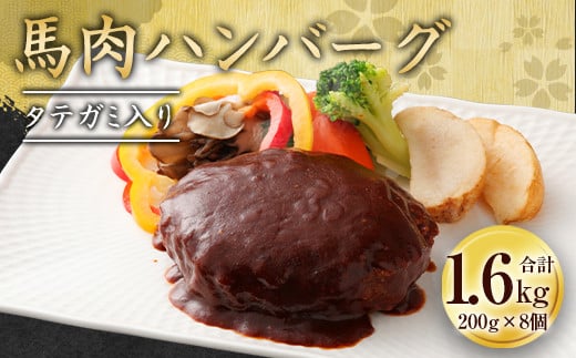 【熊本県水俣市】タテガミ入り 馬肉 ハンバーグ デミソース 8個 セット 計1.6kg