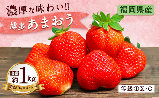 福岡県産 博多 あまおう いちご 250g 4 計 1kg 苺 イチゴ 福岡県直方市 ふるさと納税 ふるさとチョイス