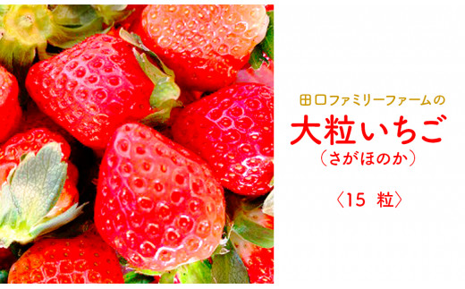 延岡産】田口ファミリーファーム旬の桃 2L～4L（7～12玉） N053-ZA466