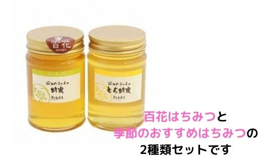 はちみつセット 450ｇ 2本 岐阜県大垣市 ふるさと納税 ふるさとチョイス