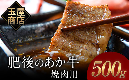 肥後のあか牛 焼肉用 500g 玉屋商店 あか牛 赤牛 あかうし 30日以内に順次出荷 土日祝を除く 熊本県玉東町 ふるさと納税 ふるさとチョイス