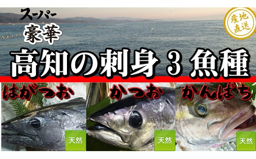 M118 かつおのたたき ハガツオ カンパチのお刺身 地域資源認定 高知県東洋町 ふるさと納税 ふるさとチョイス