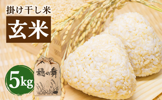 【玄米9kg】2022年収穫大分県竹田市産ヒノヒカリ玄米9kg