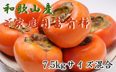 【和歌山県かつらぎ町】和歌山産富有柿ご家庭用約7.5kg