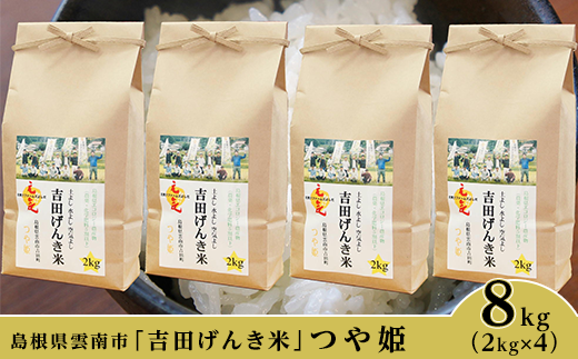 島根県雲南市 吉田げんき米 つや姫8kg 2kg 4 島根県雲南市 ふるさと納税 ふるさとチョイス