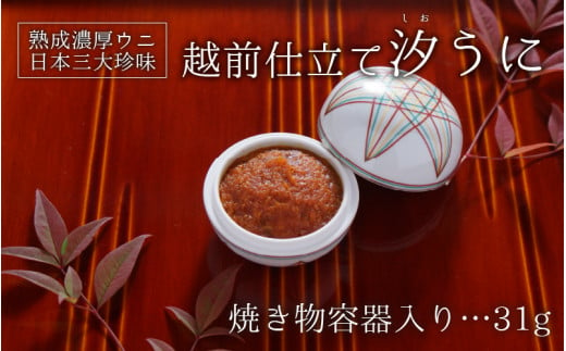 熟成濃厚ウニ 日本三大珍味の一つ 越前仕立て汐うに 焼き物容器入り 31g B 4604 福井県坂井市 ふるさと納税 ふるさとチョイス