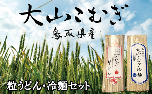 Dk02 鳥取県産大山こむぎ麺セット 粒うどん 冷麺 10袋 鳥取県日吉津村 ふるさと納税 ふるさとチョイス