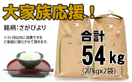 佐賀ブランド米「さがびより」10kg 令和5年度産 - 佐賀県小城市