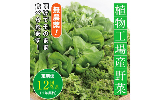 10-03 植物工場産野菜・お徳用12セット（１年契約）１セット×１２回