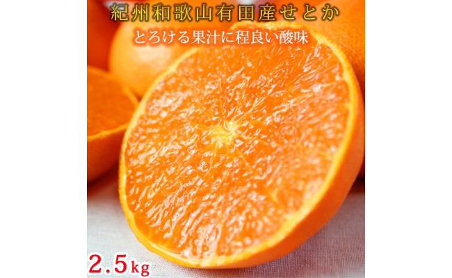 一度は食べていただきたい「有田産のせとか」約4〜5kg（サイズおまかせ）★2024年2月中旬頃より順次発送 和歌山県 和歌山 九度山町 九度山 和歌山県九度山町 ふるさと 納税 ふるさと 支援 支援品 返礼品 お礼の品 名産 名産品 特産 特産品 お取り寄せ