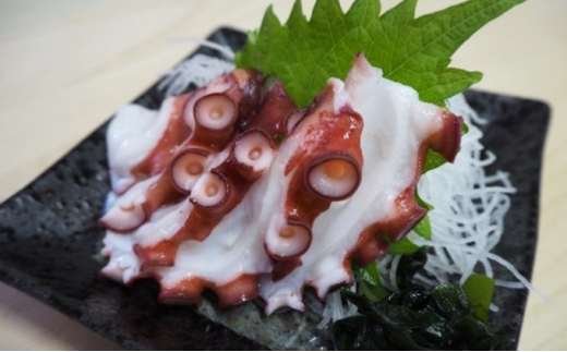 サンプル写真