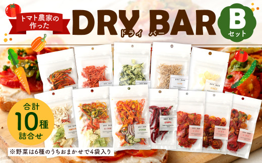 【長崎県大村市】DRY BAR（ドライバー）Bセット 10種類 乾燥野菜【40pt】