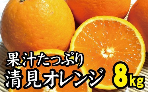 光センサー選別／ 【農家直送】果汁たっぷり！清見オレンジ 約8kg