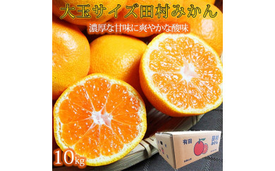 有田みかん 10kgの人気商品 通販 価格比較 価格 Com 有田みかん 10kgの人気商品 通販 価格比較 価格 Com