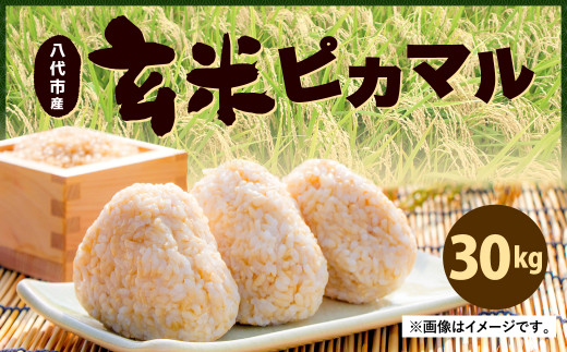 令和2年産 八代市産 玄米 ピカマル 30kg 熊本県八代市 ふるさと納税 ふるさとチョイス