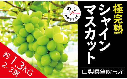 2023年配送】☆絶品☆ シャインマスカット 2-3房約1.3kg - 山梨県笛吹