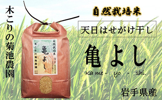 木こりの菊池農園 自然栽培米【亀の尾】(白米・玄米) 5kg ×6か月定期便