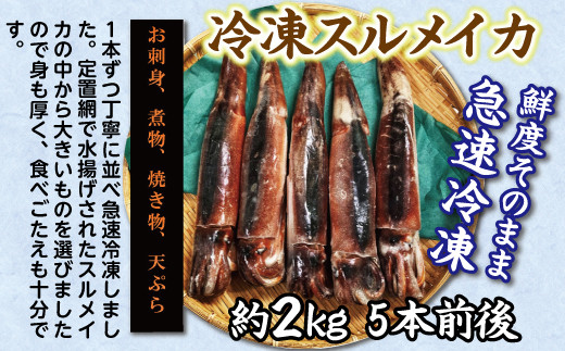 冷凍スルメイカ大 約２kg ５本前後 岩手県普代村 ふるさと納税 ふるさとチョイス