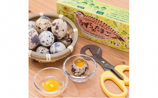 うずら 生 卵 食品の人気商品 通販 価格比較 価格 Com