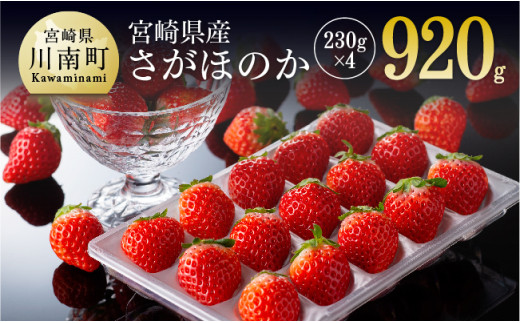 ※数量限定※《発送月が選べる》宮崎県産いちご「さがほのか」 230g×4パック 【 九州産 宮崎県産 イチゴ 苺 果物 フルーツ 産地直送 期間限定  季節限定 】