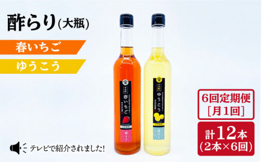 6回定期便 酢らり 大瓶 いちご ゆうこう 総計12本 川添酢造 Cdn036 長崎県西海市 ふるさと納税 ふるさとチョイス