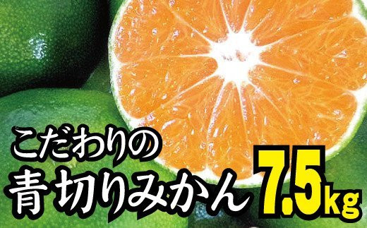 2024年秋頃発送予約分】こだわりの青切りみかん 約7.5kg 有機質肥料100