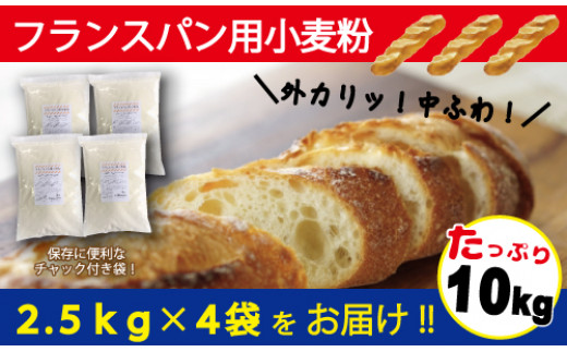 フランスパン用小麦粉 準強力粉 2.5kg×4袋(計10kg) バゲットや