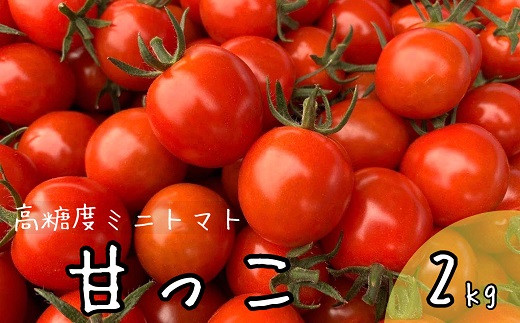 【北海道中富良野町】北海道中富良野産の高糖度ミニトマト《甘っこ》2kg